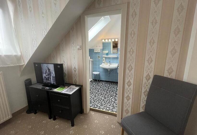 标准单人间, Ds Hotel Bad Bentheim