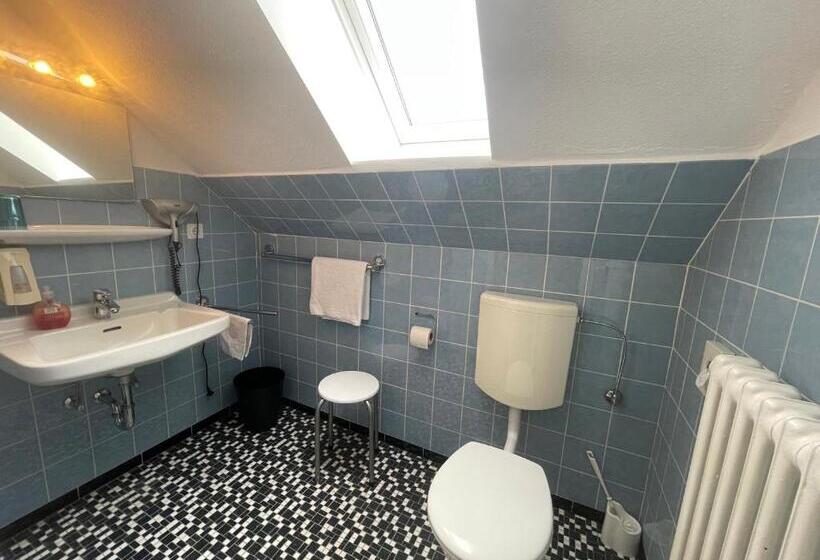 Номер Стандарт Индивидуальный, Ds Hotel Bad Bentheim