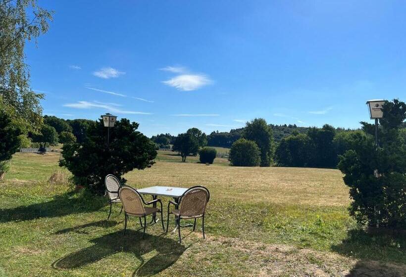 スタンダードルーム, Am Tiergarten