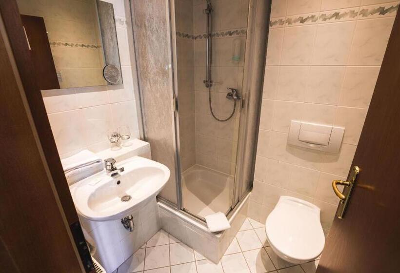 غرفة قياسية فردية, Berghotel Friedrichshöhe