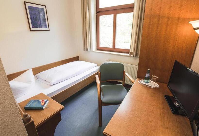 غرفة قياسية فردية, Berghotel Friedrichshöhe