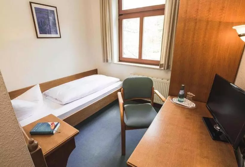 スタンダードシングルルーム, Berghotel Friedrichshöhe