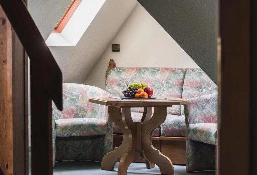 غرفة دوبلكس, Berghotel Friedrichshöhe