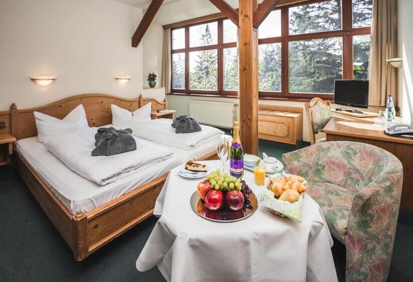 غرفة ديلوكس, Berghotel Friedrichshöhe