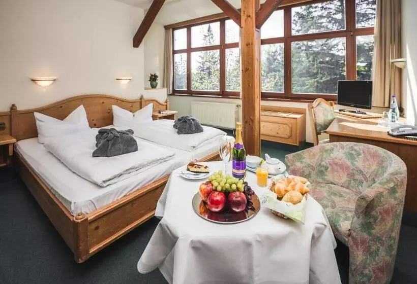 デラックスルーム, Berghotel Friedrichshöhe