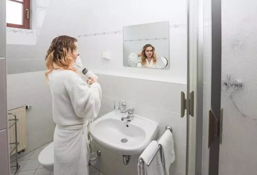 デラックスルーム, Berghotel Friedrichshöhe