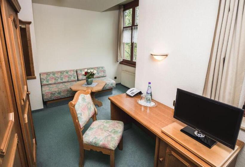 Номер Стандарт, Berghotel Friedrichshöhe