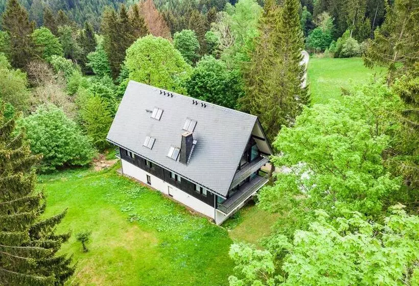 スタンダードスタジオ, Berghotel Friedrichshöhe