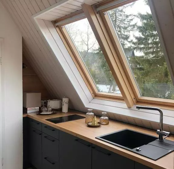 スタンダードスタジオ, Berghotel Friedrichshöhe