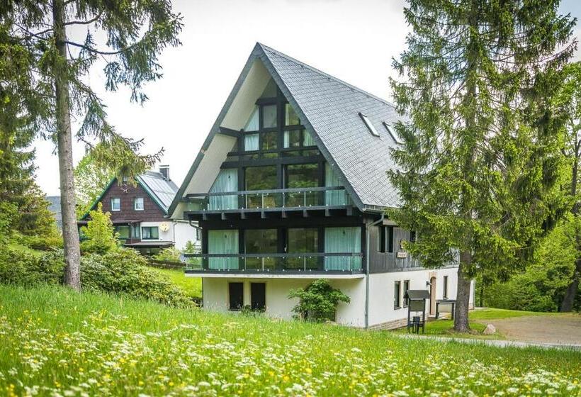 إستوديو قياسى, Berghotel Friedrichshöhe