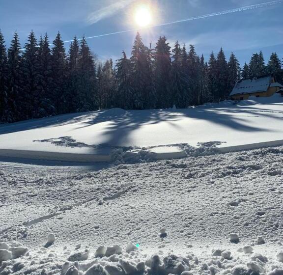 شقة غرفة واحدة, Berghotel Friedrichshöhe