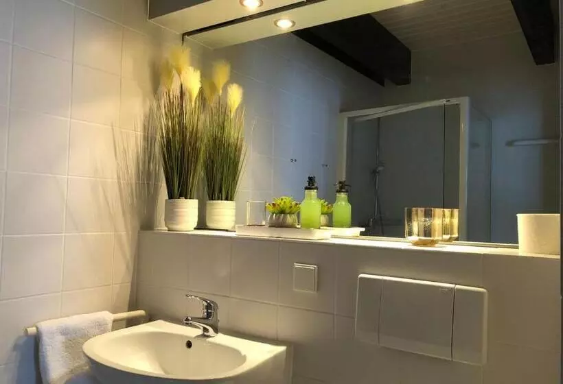 １ベッドルームアパートメント, Berghotel Friedrichshöhe