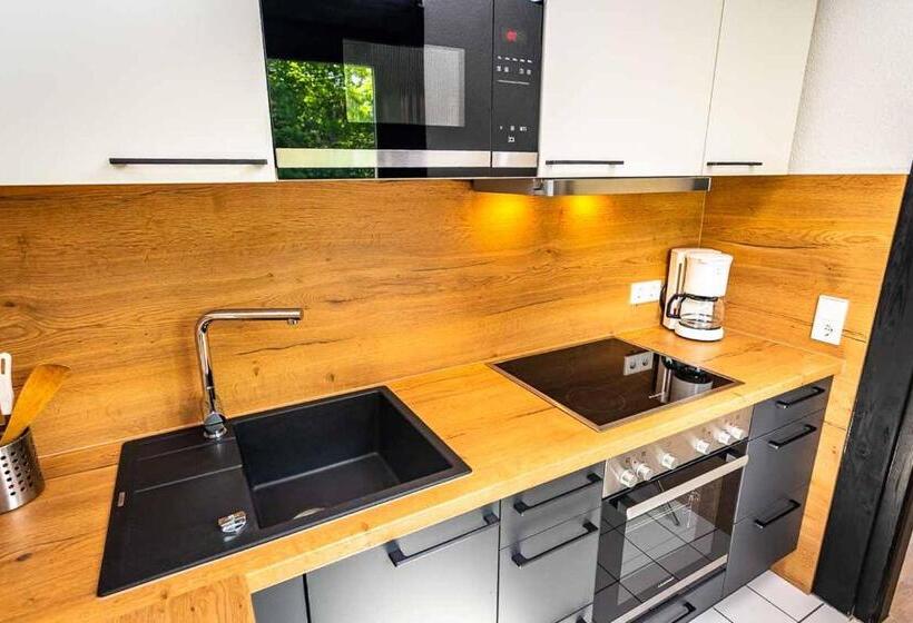 شقة غرفة واحدة, Berghotel Friedrichshöhe