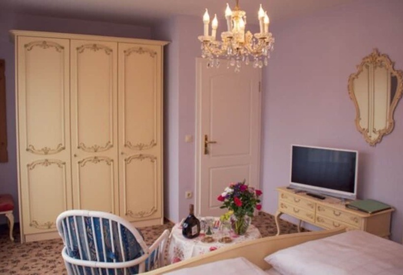 Номер Стандарт с Балконом, Garni Regina