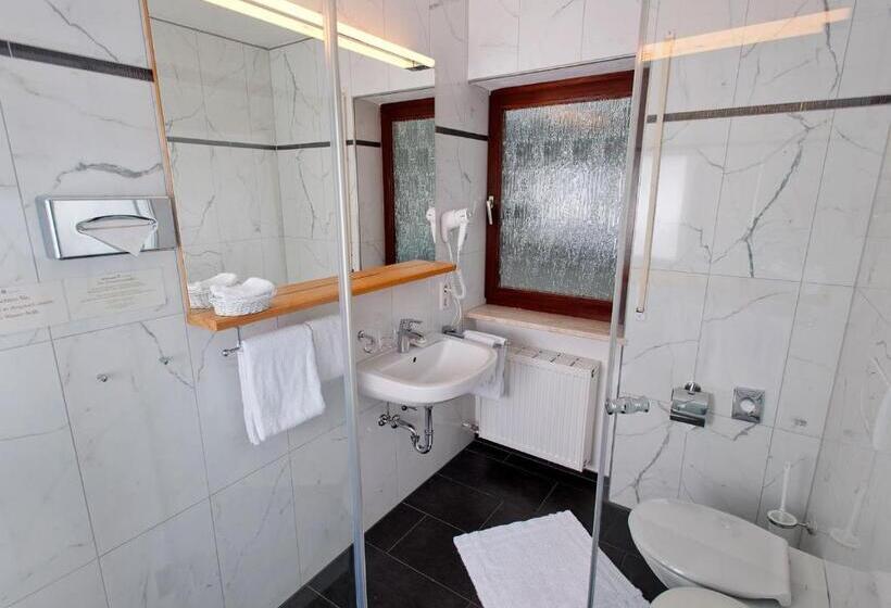 Standard-huone Vuoristonäkymä, Heinzler Am See