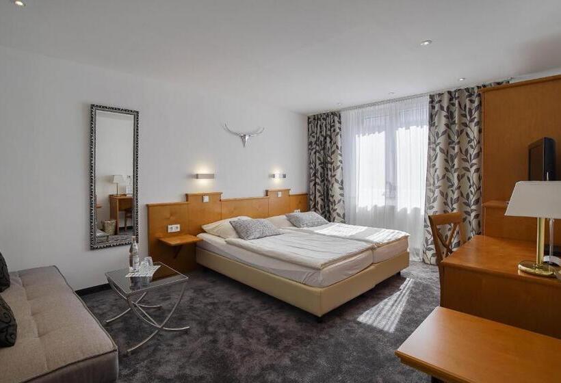 スタンダードルーム, Maxim