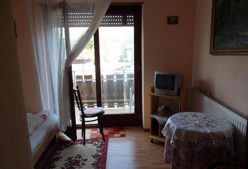 غرفة قياسية, Mainzer Rad