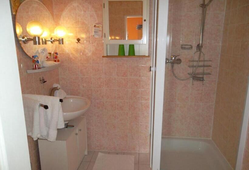 اتاق استاندارد یک نفره, Mainzer Rad