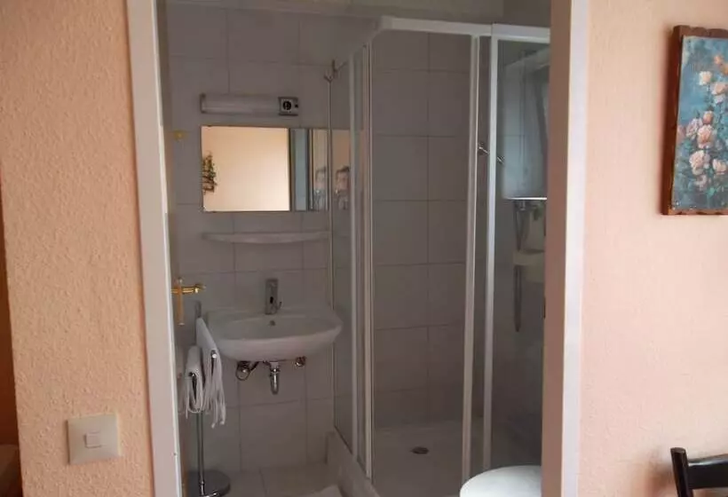 Standard Kolmen Hengen Huone, Mainzer Rad