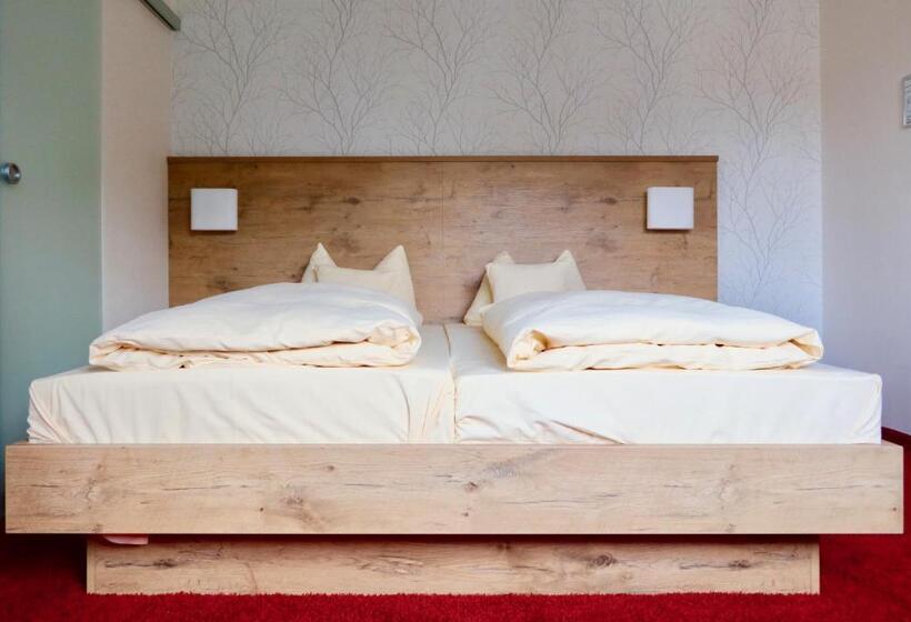 חדר סטנדרט, Renchtalblick