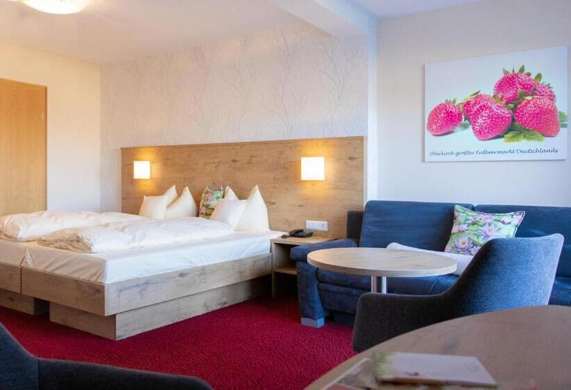 חדר סופריור, Renchtalblick