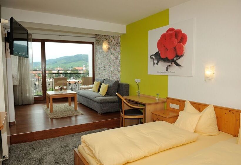 חדר סטנדרט יחיד, Renchtalblick