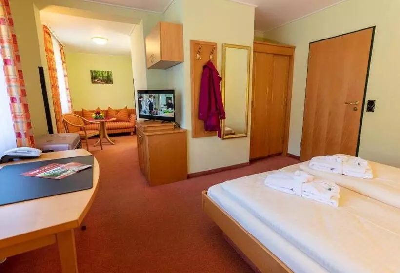 اتاق استاندارد, Kishotel Am Kurpark