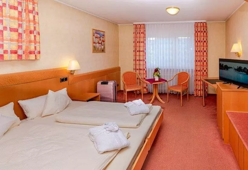 اتاق استاندارد, Kishotel Am Kurpark