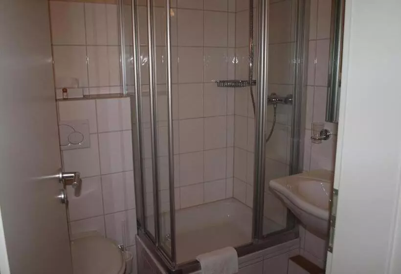 Standard Single Room, Wegermann`s Bio Landhaus Im Wodantal