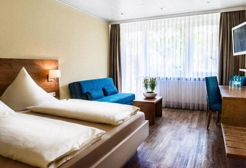 Трехместный Номер Базовый, Bad Durkheim