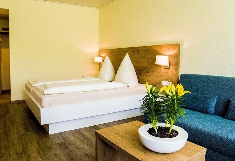 Трехместный Номер Базовый, Bad Durkheim