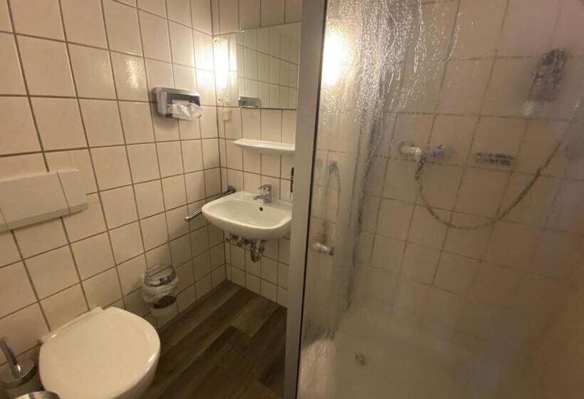 اتاق استاندارد یک نفره, Berghotel Harz