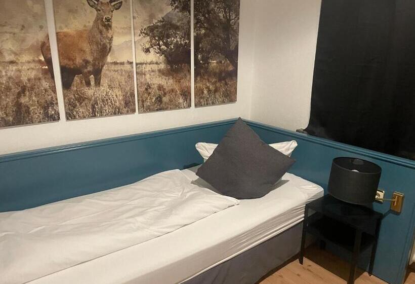 اتاق استاندارد یک نفره, Berghotel Harz