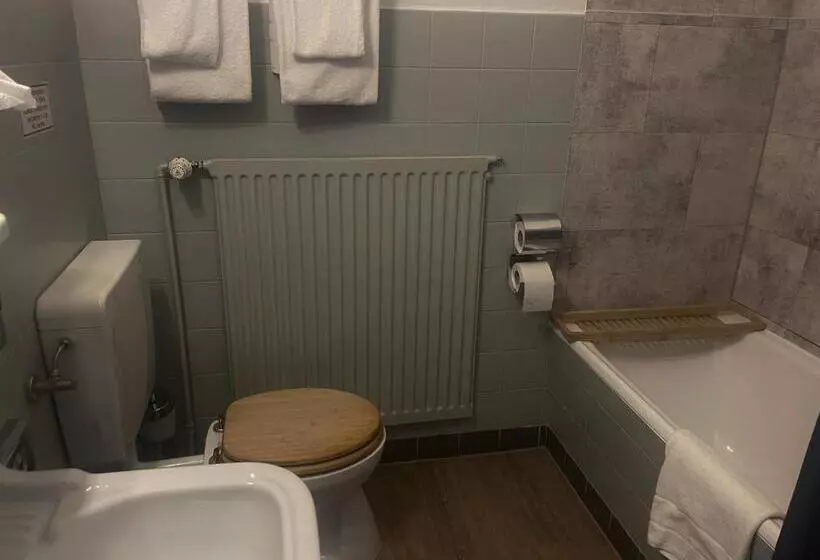 バルコニー付きスタンダードルーム, Berghotel Harz