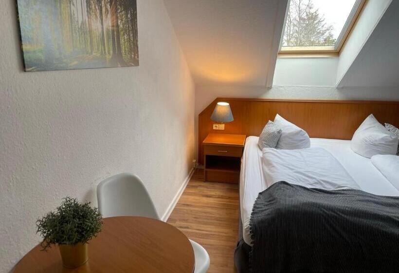 اتاق اکونومی, Berghotel Harz