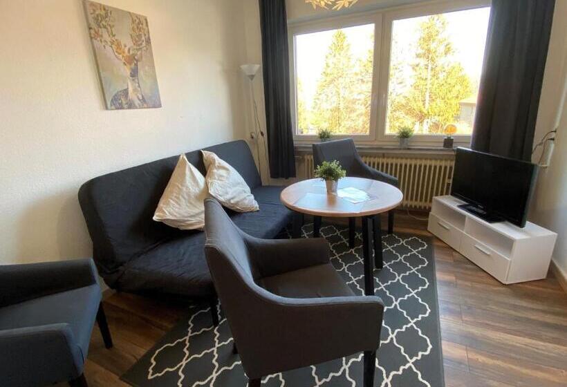 آپارتمان 1 خوابه, Berghotel Harz