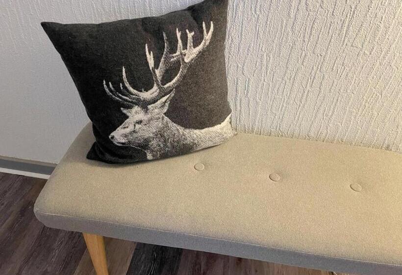 آپارتمان 1 خوابه, Berghotel Harz