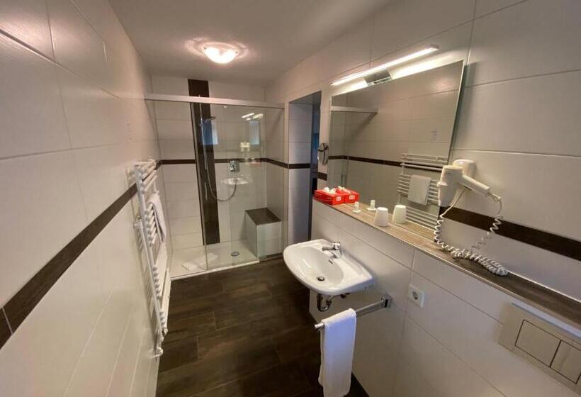 Номер Стандарт Индивидуальный, Gasthaus Hotel Kranz