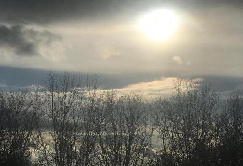 غرفة كومفورت فردية, Habitación Doble Estándar   Panorama Hotel Pension Frohnau