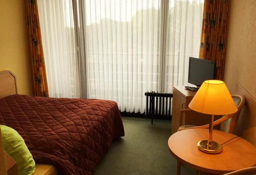 غرفة قياسية, Habitación Doble Estándar   Panorama Hotel Pension Frohnau