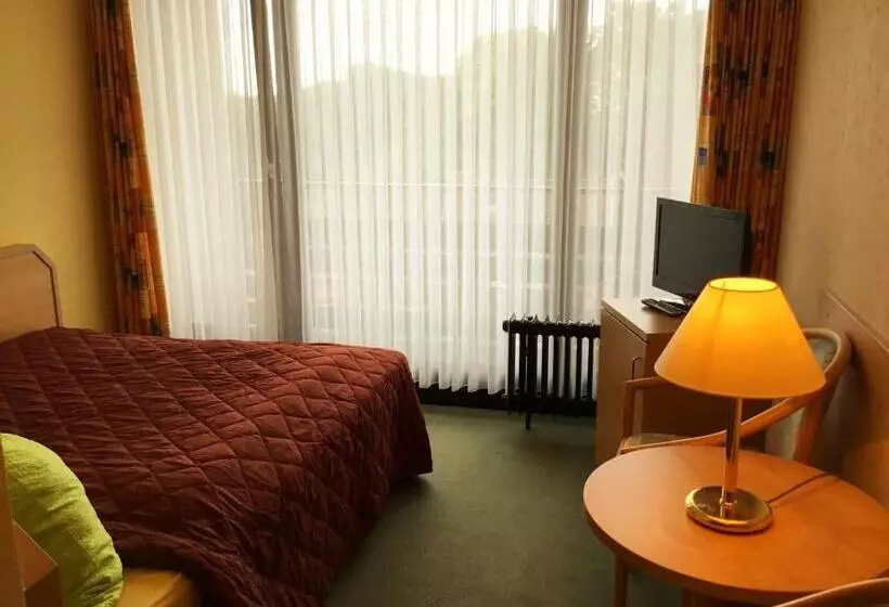 スタンダードルーム, Habitación Doble Estándar Panorama Hotel Pension Frohnau