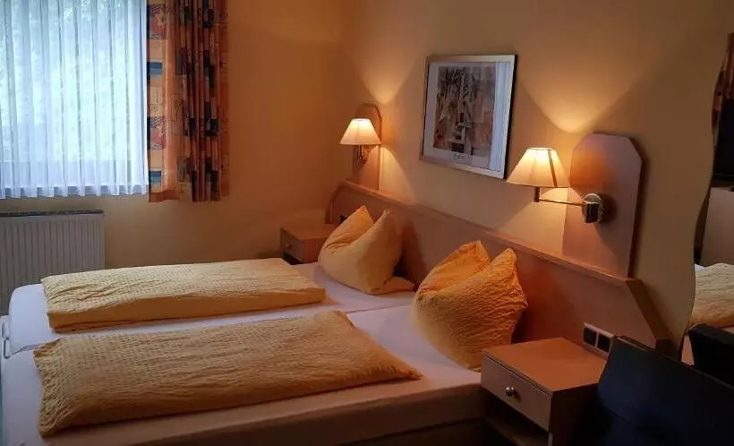 コンフォートルーム, Habitación Doble Estándar Panorama Hotel Pension Frohnau