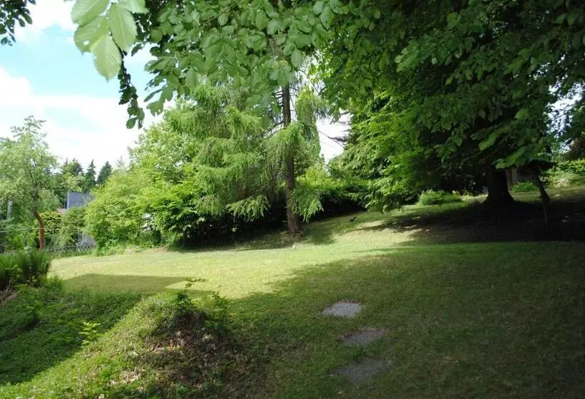 スタンダードシングルルーム, Habitación Doble Estándar Panorama Hotel Pension Frohnau