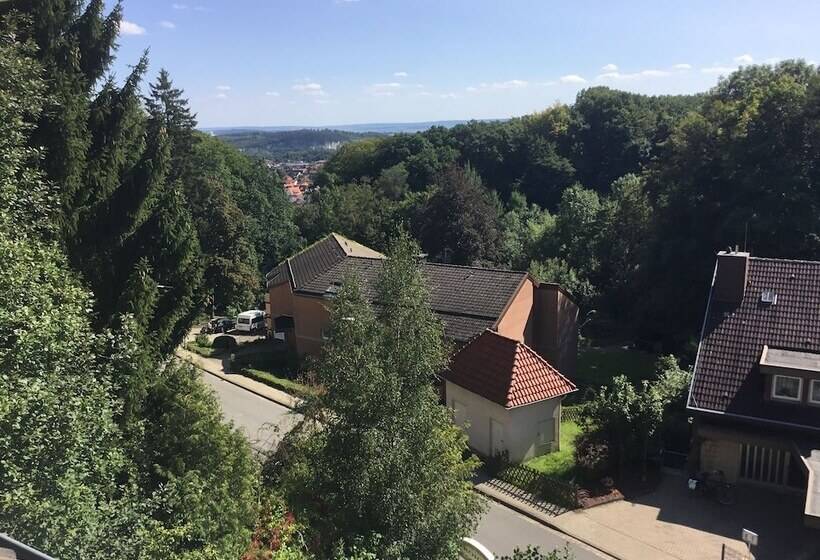 غرفة كومفورت فردية, Habitación Doble Estándar   Panorama Hotel Pension Frohnau