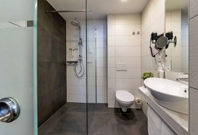 Standard-huone, Akzent Hotel Restaurant Roter Ochse Rhens Bei Koblenz