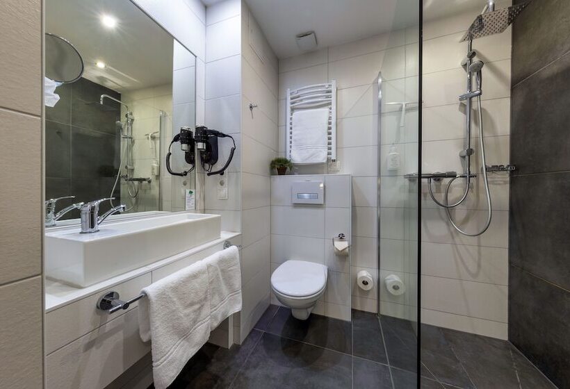 غرفة أساسية, Akzent Hotel Restaurant Roter Ochse Rhens Bei Koblenz