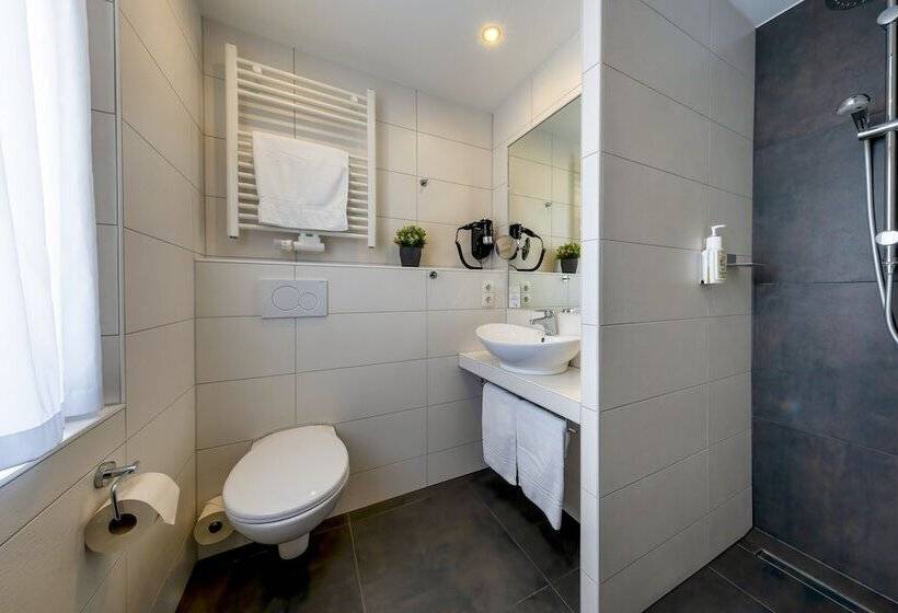 غرفة أساسية, Akzent Hotel Restaurant Roter Ochse Rhens Bei Koblenz