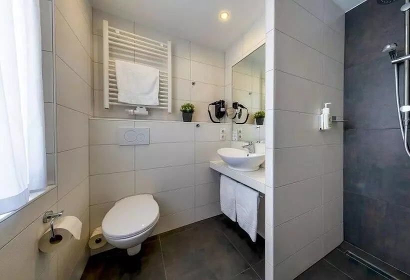 Basic-huone, Akzent Hotel Restaurant Roter Ochse Rhens Bei Koblenz