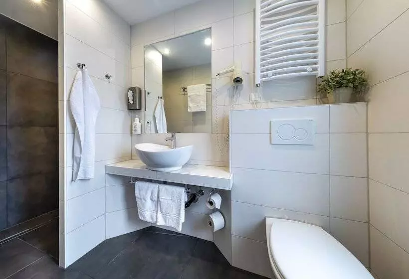 Basic-huone, Akzent Hotel Restaurant Roter Ochse Rhens Bei Koblenz