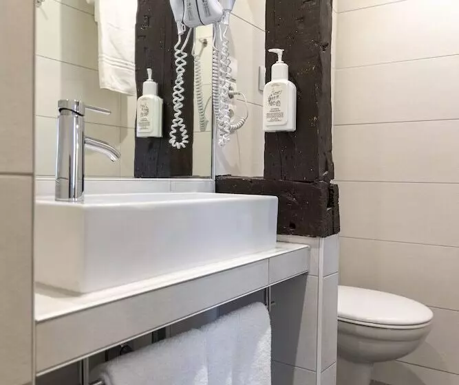 Talo 1 Makuuhuone, Akzent Hotel Restaurant Roter Ochse Rhens Bei Koblenz